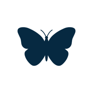 Pochoir chablon papillon